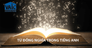 bia tu dong nghia