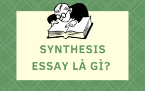 synthesis essay la gi