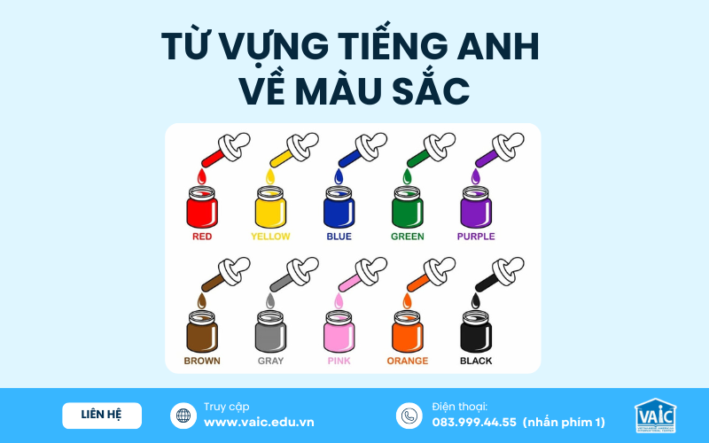 Từ vựng tiếng Anh về màu sắc