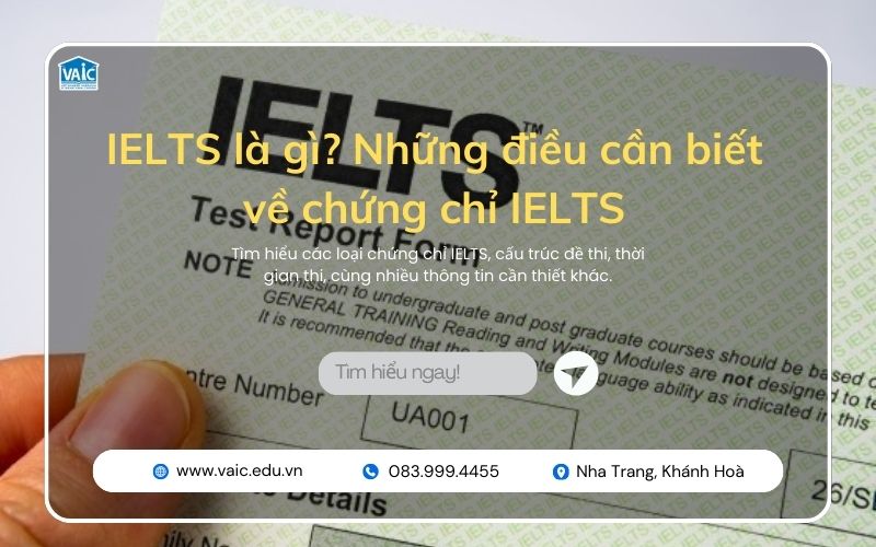 Chứng chỉ IELTS là gì